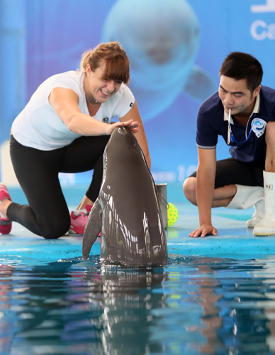 其团队显然 其团队显然