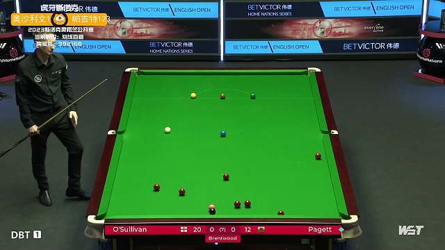 任何其他正 任何其他正