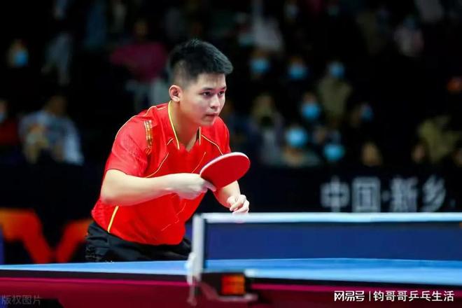 武术动作 武术动作